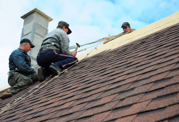 Best Shingle Roofing Installation  in Radford, VA